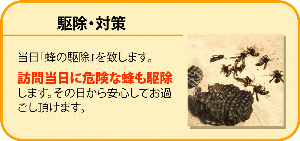 駆除・対策